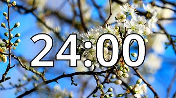 24 Minutes Timer with Relaxing Music | Cherry Blossom Timer