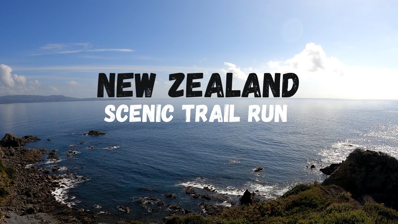 Views for days! Trail running New Zealand, Tawharanui Coastal Loop