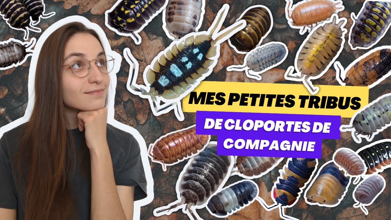 Ces espèces qui vont te faire AIMER les cloportes