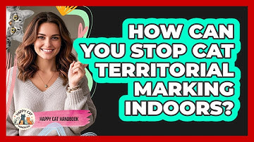 How Can You Stop Cat Territorial Marking Indoors? - Happy Cat Handbook
