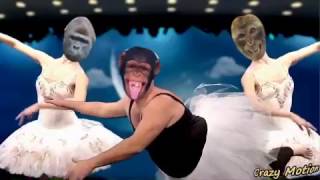 爆笑 志村けんもびっくり 猿の白鳥 Youtube 爆笑 志村けんもびっくり 猿の白鳥 Youtube