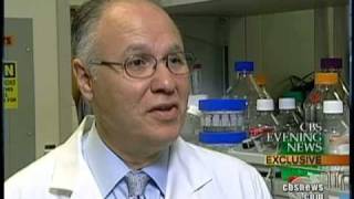 Stem Cells And Weakened Hearts