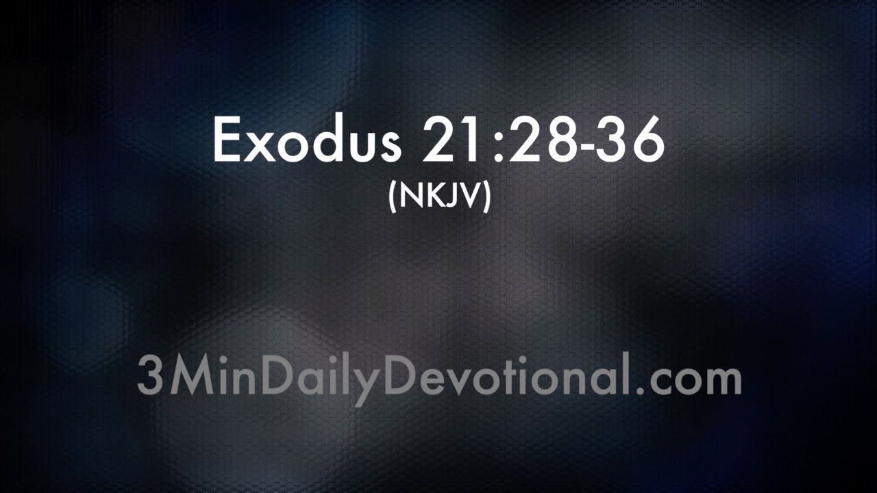 exodus-21-28-36-3mindailydevotional-205-youtube
