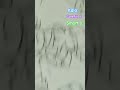 @Tanjirosimp1244  just make challenge try not to laugh