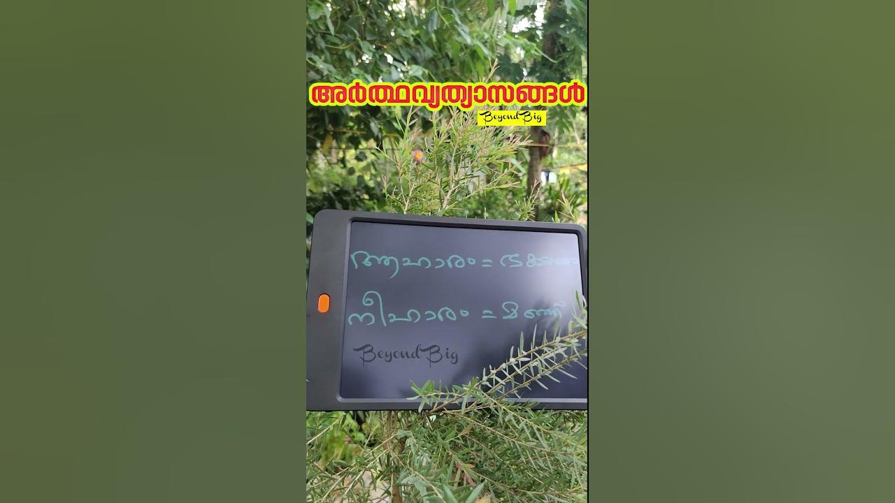 അർത്ഥവ്യതാസങ്ങൾ 38 Malayalam Meanings 38 shorts education 