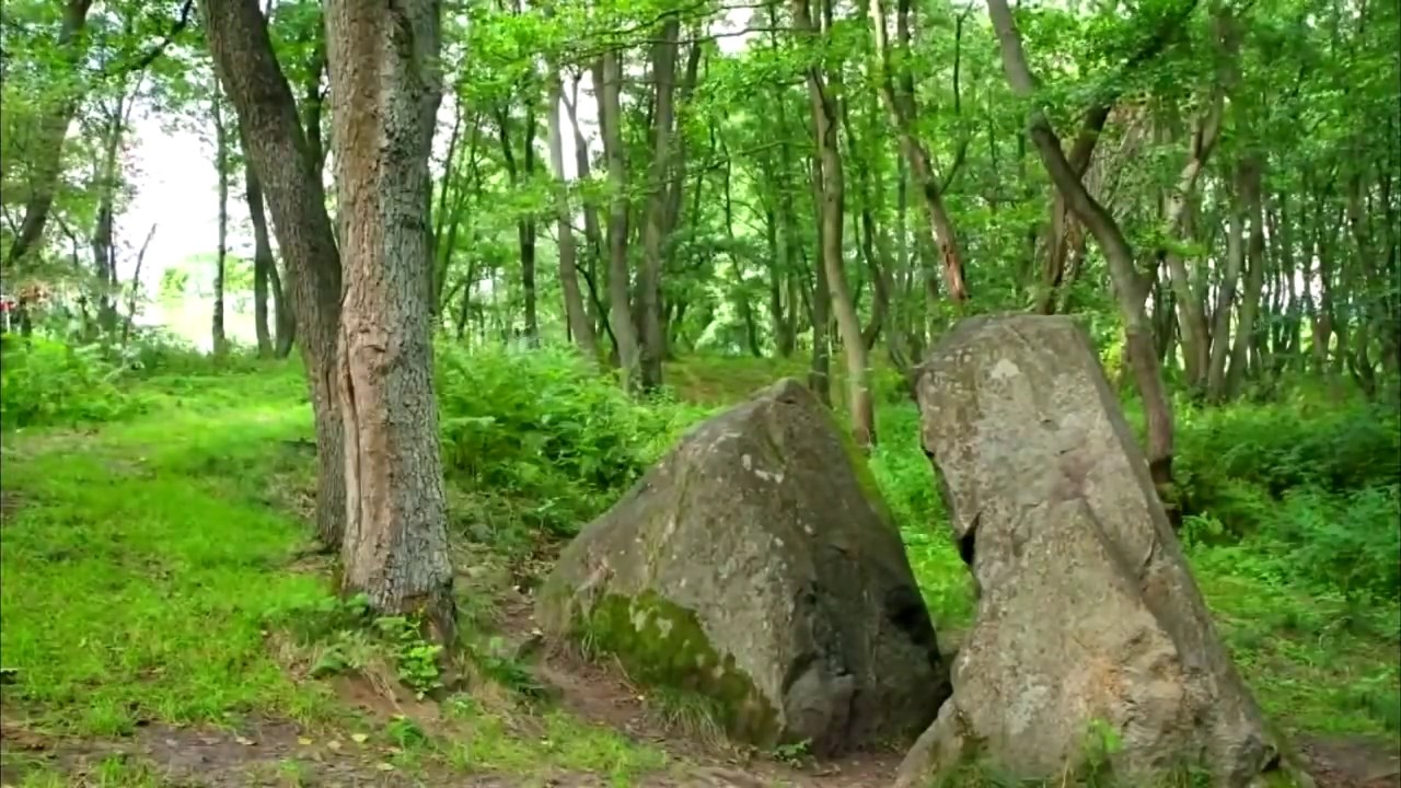калининградской области город пионерский фото