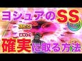 【白猫テニス】ヨシュアのスーパーショット（SS)を確実に取る方法