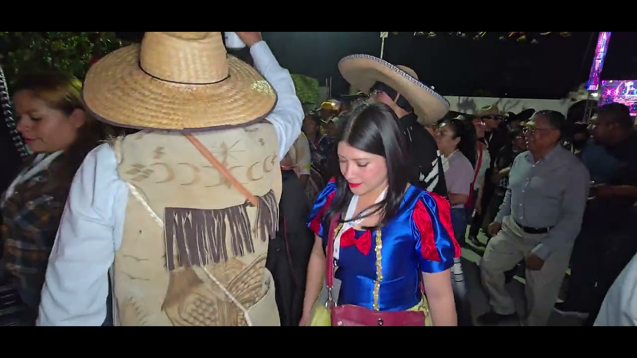 CARNAVAL EN SILACAYOAPAN 2026