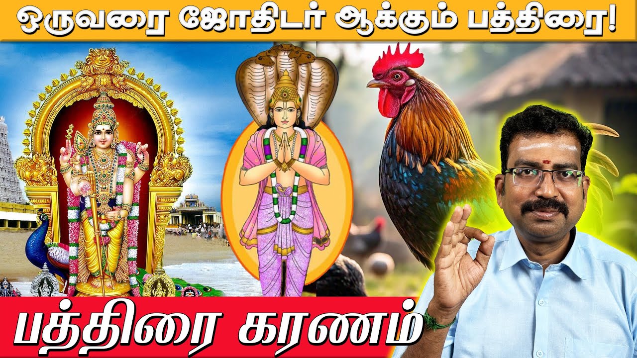 பத்திரை கரணம் - திருசெந்தூர் முருகன் வழிபாடு முறை | வ.சசிகுமார் | நல்வழி ஜோதிடம்