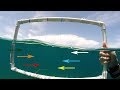 Underwater Visibility Test of Braided Fishing Lines