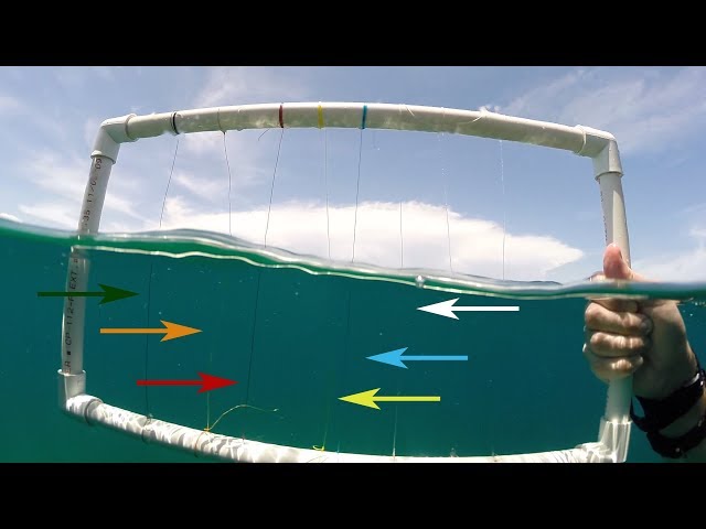 Underwater Visibility Test of Braided Fishing Lines 