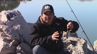 Beefing Up Your Bait For Flathead Catfish