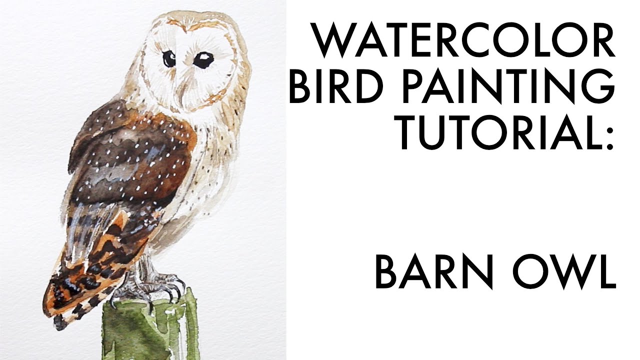 Painting A Barn Owl Watercolor Painting Tutorial YouTube painting-a-barn-owl-watercolor-painting-tutorial-youtube