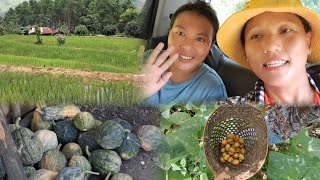 Download Lagu Just Went to meet my mother in law in village with my friend🫶@Atungmixvlog4325 MP3 Download Lagu Just Went to meet my mother in law in village with my friend🫶@Atungmixvlog4325 MP3