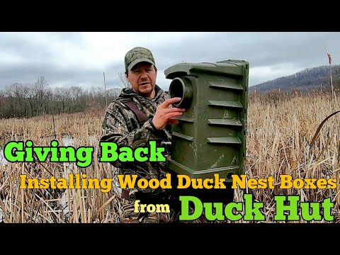 Giving Back Installing Wood Duck Nest Boxes from Duck Hut - YouTube