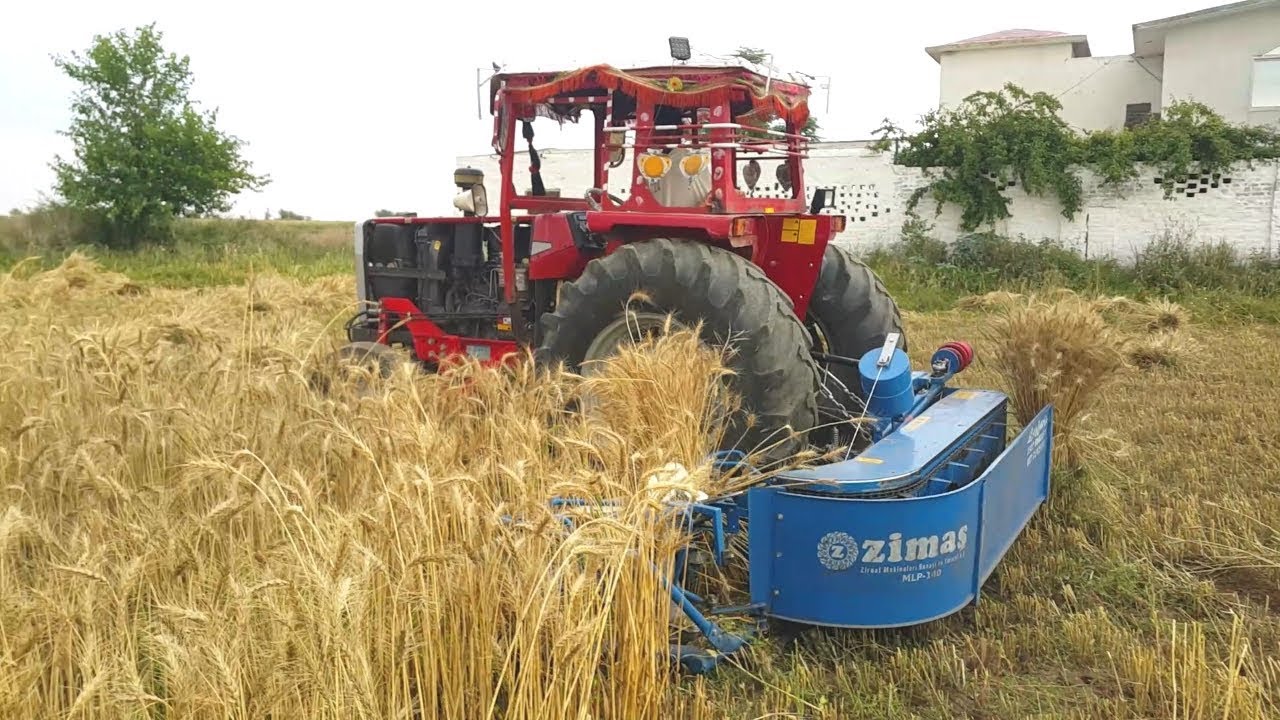 Reaper Binder Machine Cutting Wheat With 385 Tractor New Season Agriculture In Punjab Pakistan