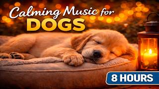 Music for Dogs Home Alone 🐶 Stops Crying & Anxiety (8 Hours)