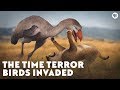 The Time Terror Birds Invaded