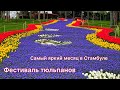 2023ФЕСТИВАЛЬ ТЮЛЬПАНОВ В СТАМБУЛЕ.МИЛЛИОНЫ ЦВЕТОВ ПРИТЯГИВАЮТ ТУРИСТОВ СО ВСЕГО МИРА.УСПЕТЬ УВИДЕТЬ