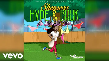 Shenseea - Hype & Bruk (Official Audio)