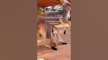 هذا خلق الله سورة لقمان الآية11 القارئ #اسلام صبحي  🎧🤍