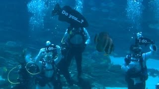 Couple weds in an underwater ceremony