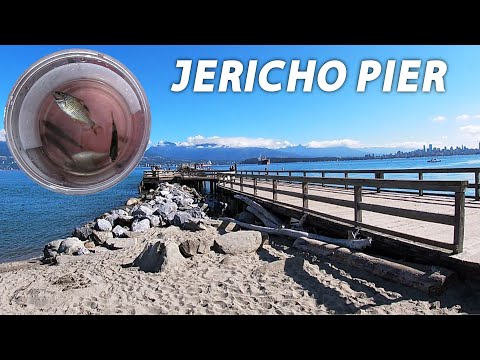 Fishing & Exploring the Jericho Pier