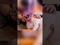 New Florida animal cruelty law ‘Trooper’s Law’ goes into effect