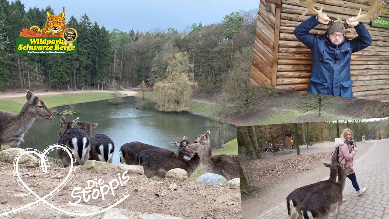 Wildpark Schwarze Berge | Wintersaison 2020 | Unser windiger Besuch