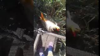Рыбалка на нашей речке. Дружковка Рыбалка на нашей речке. Дружковка