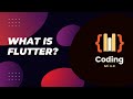 What is Flutter? | How to instal Intellij IDEA? #flutter #intellij #app_development #views