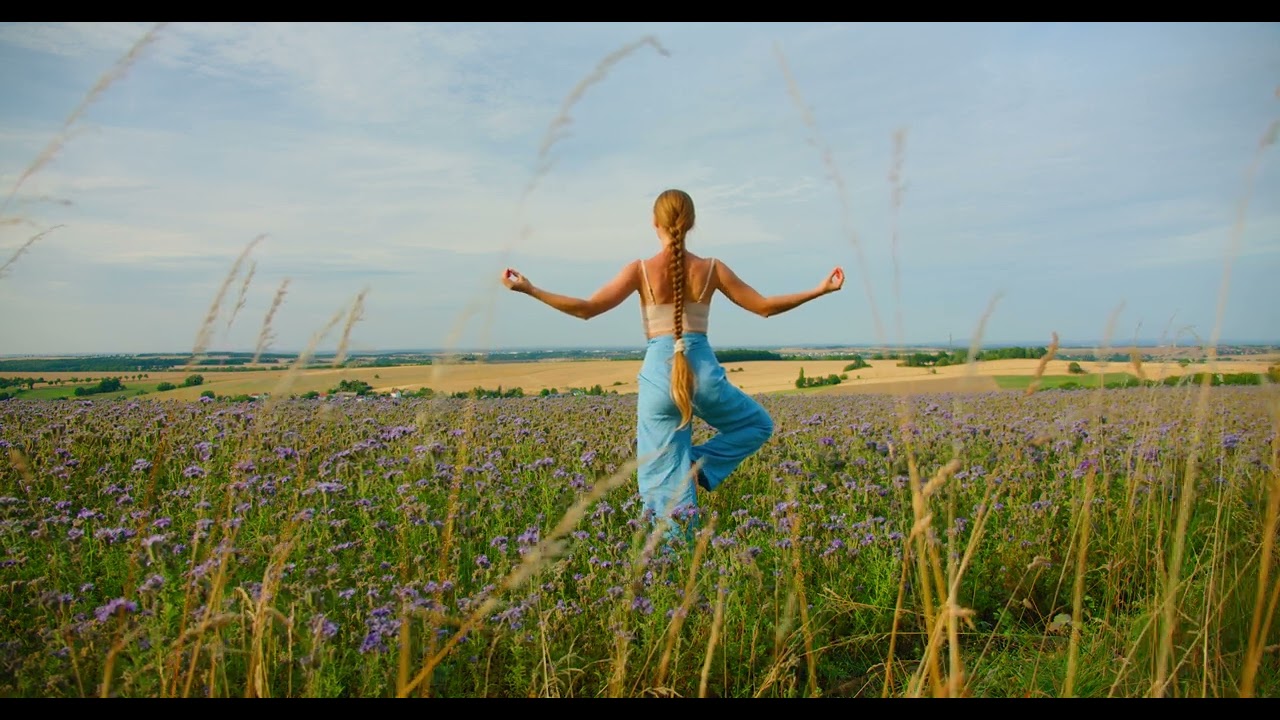 Yoga at Sunset Happy Young Woman Practicing Yoga Tree Pose Stretching Health and Wellness