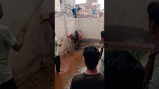 heavy bolane attack Kar Diya #cow #ff #song #unfrezzmyaccount #music