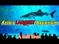 Singapore SEA Aquarium: Southeast Asia's Biggest Marine Marvel of 2024 | Resorts World Sentosa