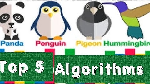 Top 5 Google Algorithms related to SEO | panda, penguin, hummingbird, Rankbird, page layout