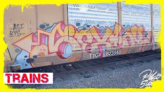 FREIGHT TRAIN GRAFFITI BENCHING - Train Yards of Los Angeles - New Track City (Part 8)