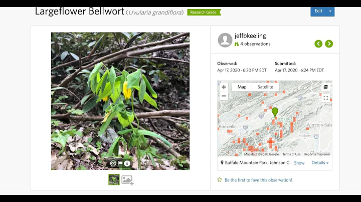 Have fun, ID wildlife - City Nature Challenge starts Friday