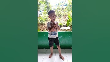 Thumbnail of habiboy dan biah