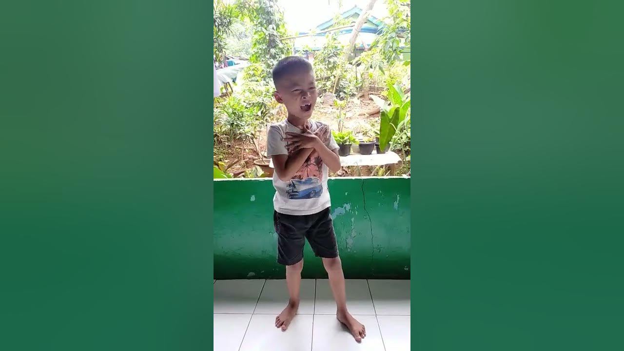 habiboy dan biah