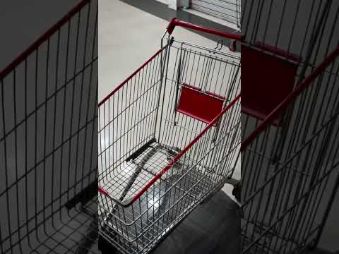 Shoppingcart Speedramp #shorts