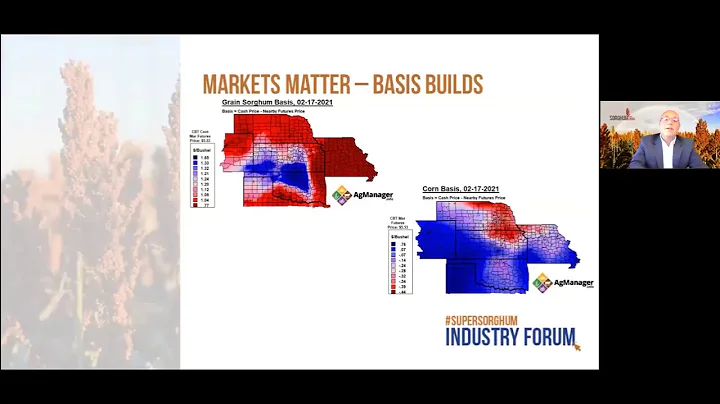 #SuperSorghum Virtual Industry Forum with Florenti...