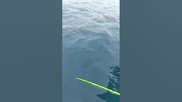 Rớt tim với pha kéo cá cam khủng của các cần thủ Hòa Hiệp Đắk Lắk