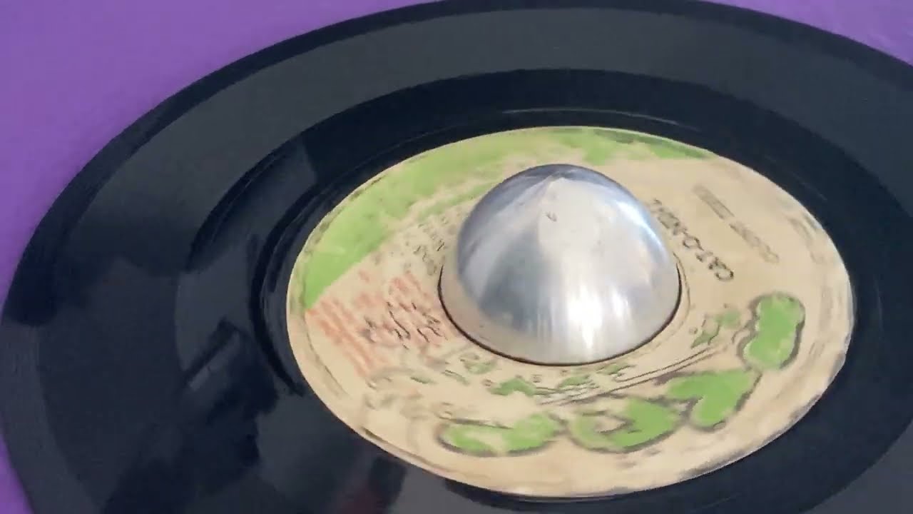 COUNT ZEBRA & THE SEASIDERS ~ Cat-O-Nine