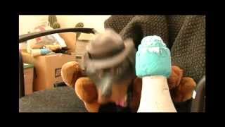 Making the Video - "I Keed" Triumph the Insult Comic Dog, MTV2 (2003)