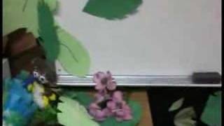 Nielson Elementary School rain forest