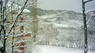 Cabanay 30.12.2008(09:30)