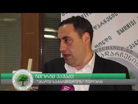 გიორგი ვაშაძე   პირველ გამარჯვებას მივაღწიეთ