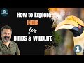 How to explore india for birds  wildlife