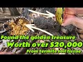 Traditional gold mining discovering a cave of gold!! Worth 1 million dollars😱😱