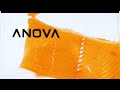 Anova Culinary Sous Vide Precision Cooker order now